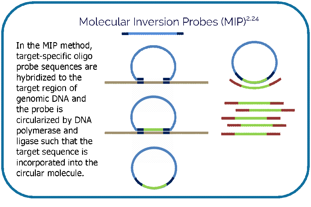 Picture8-2-e1468350708103 (1).gif